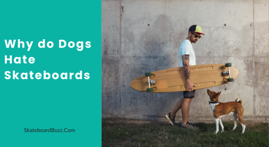 Why do Dogs Hate Skateboards