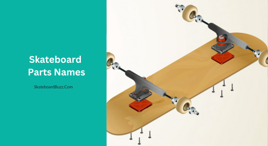 skateboard parts names
